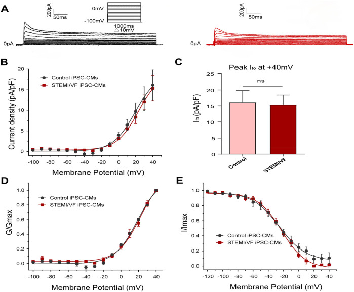 Figure 6