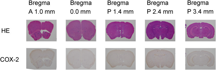 Figure 3