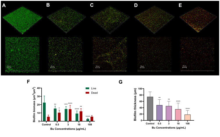 Figure 4