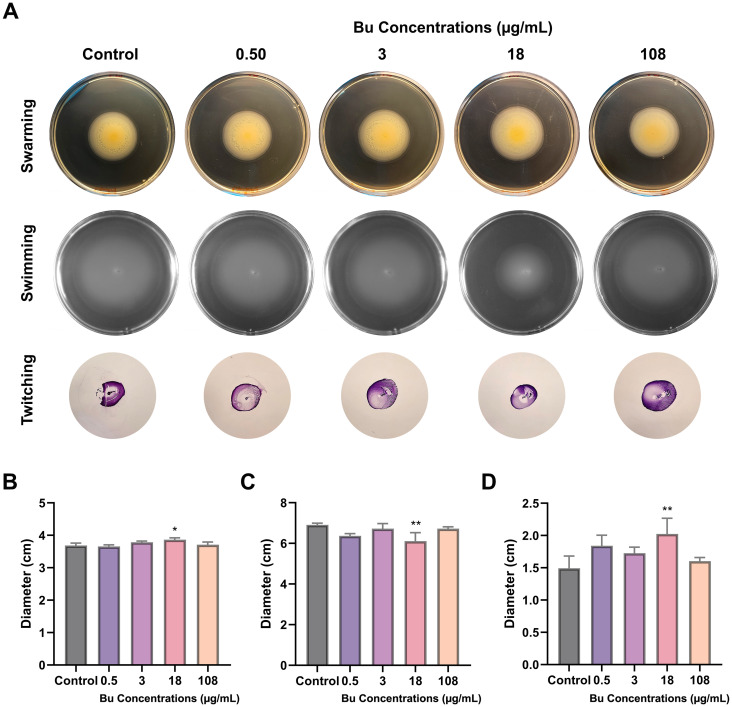 Figure 6