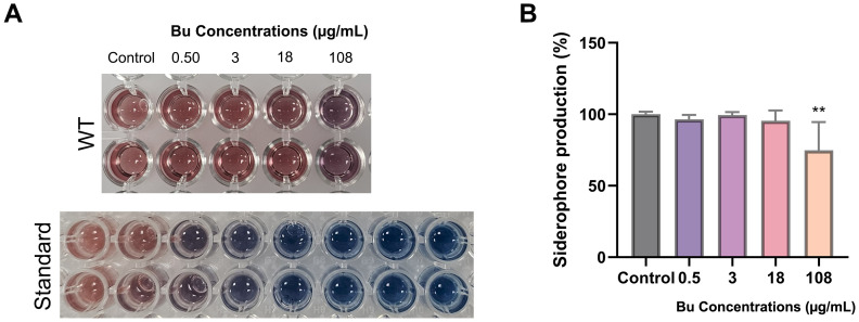 Figure 7