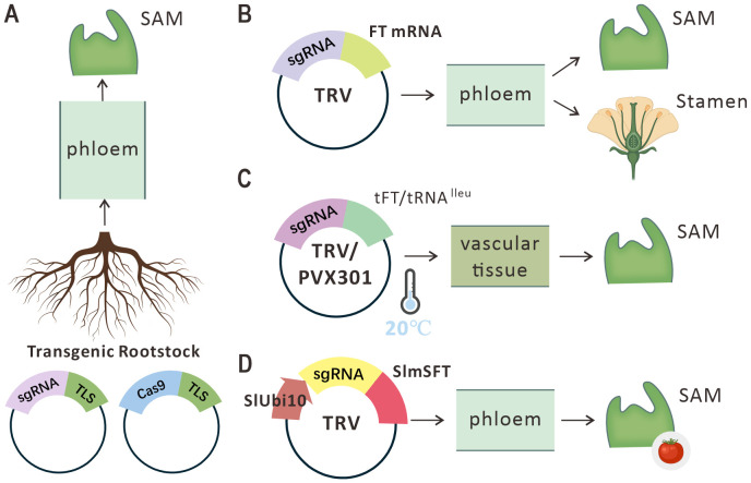 Figure 3