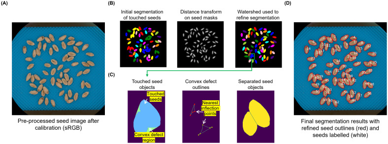 Figure 2