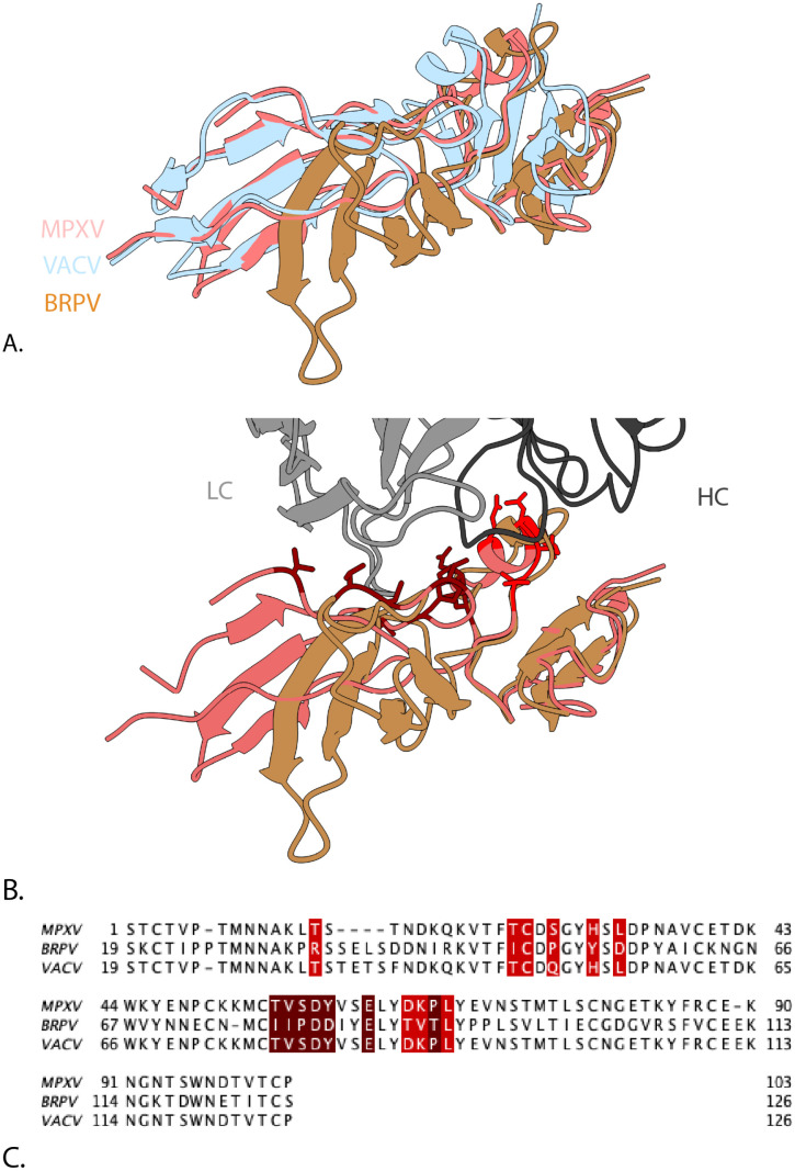 Figure 4