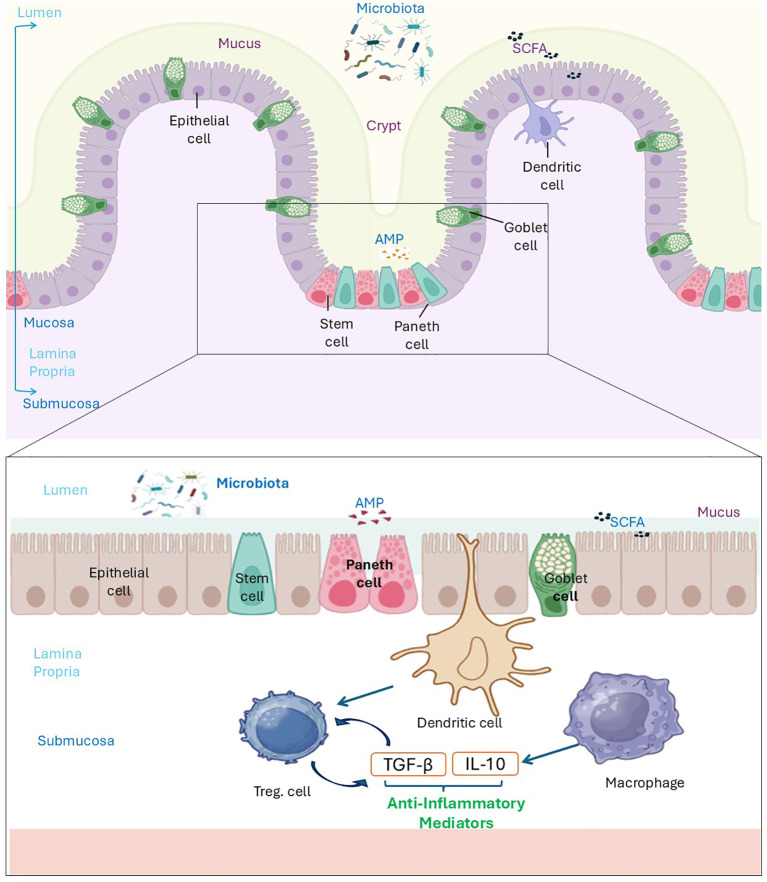 Figure 3