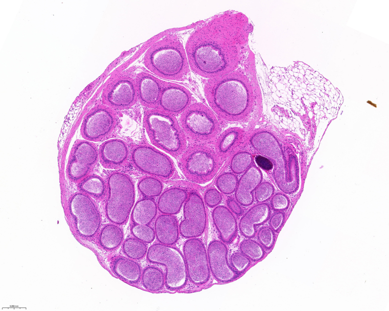 Figure 9