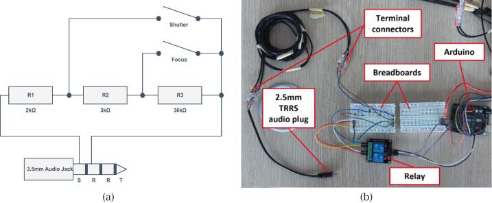 Figure 6