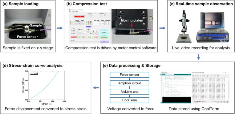 Figure 11