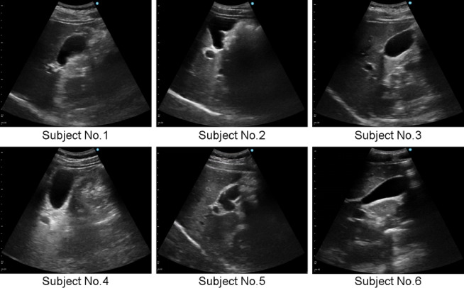 Figure 6