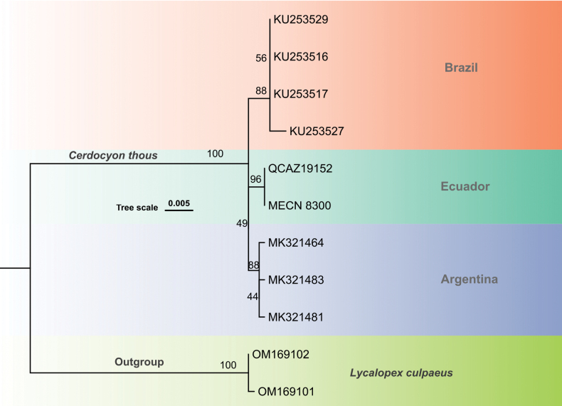 Figure 7