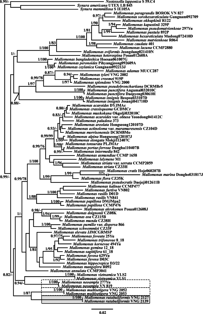 Figure 5