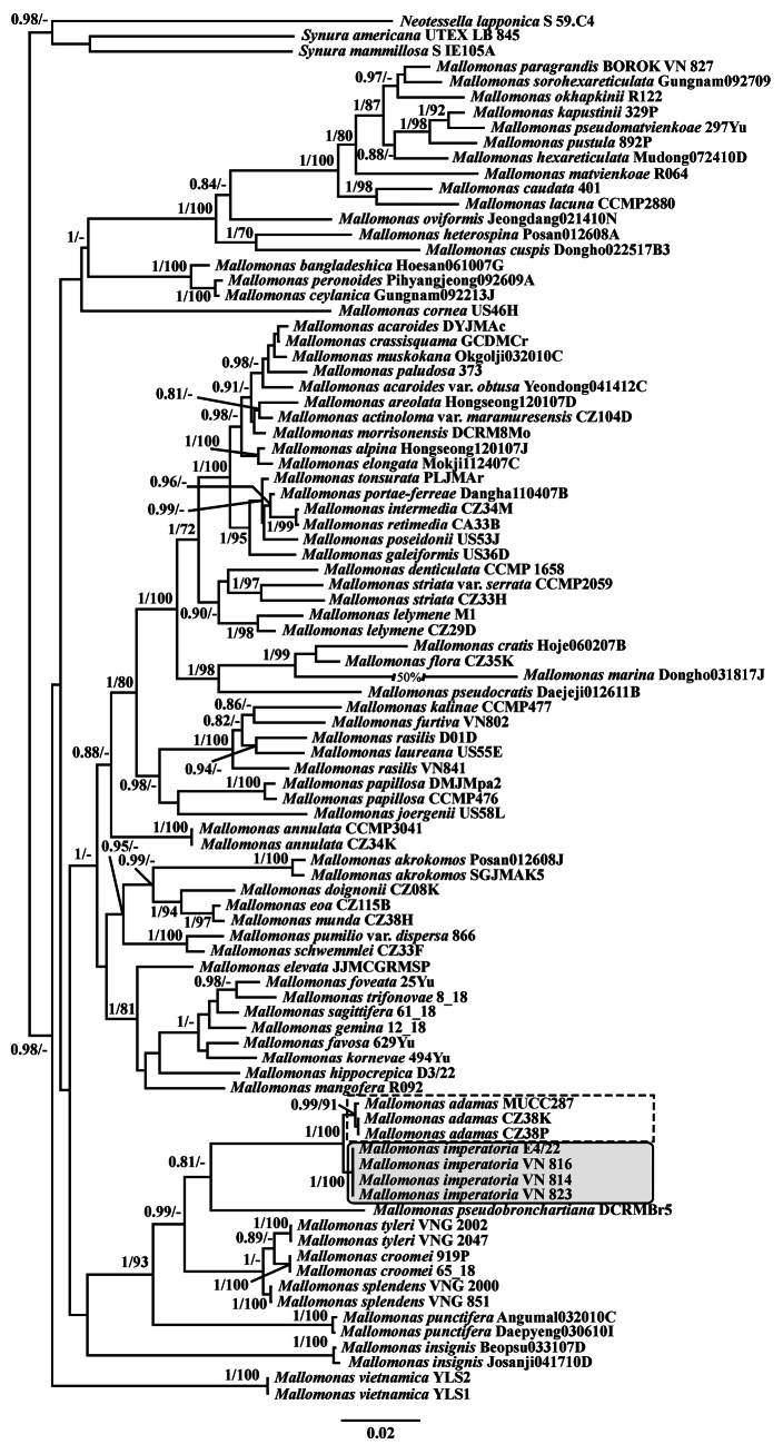 Figure 1