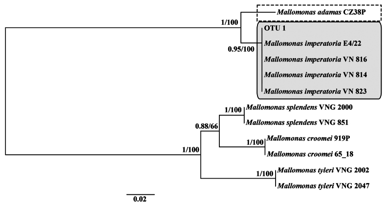 Figure 2