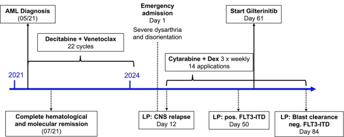 FIGURE 1