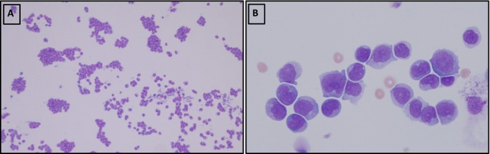 FIGURE 3