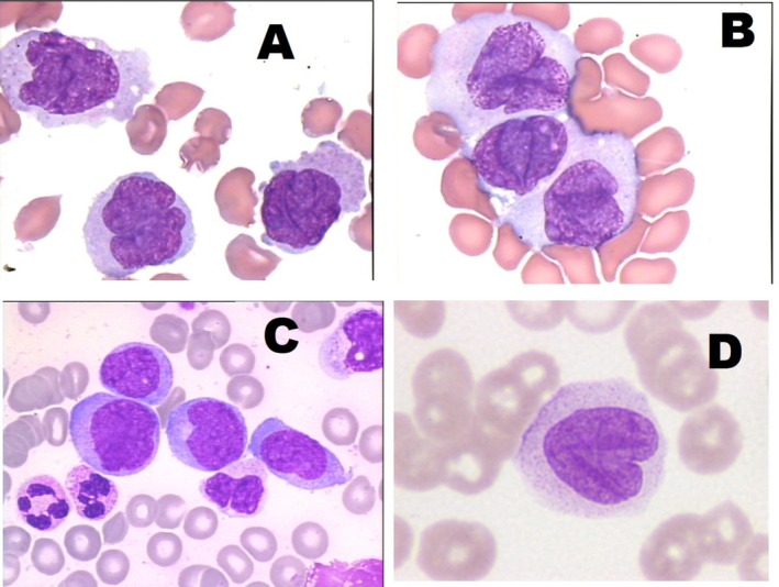 FIGURE 2
