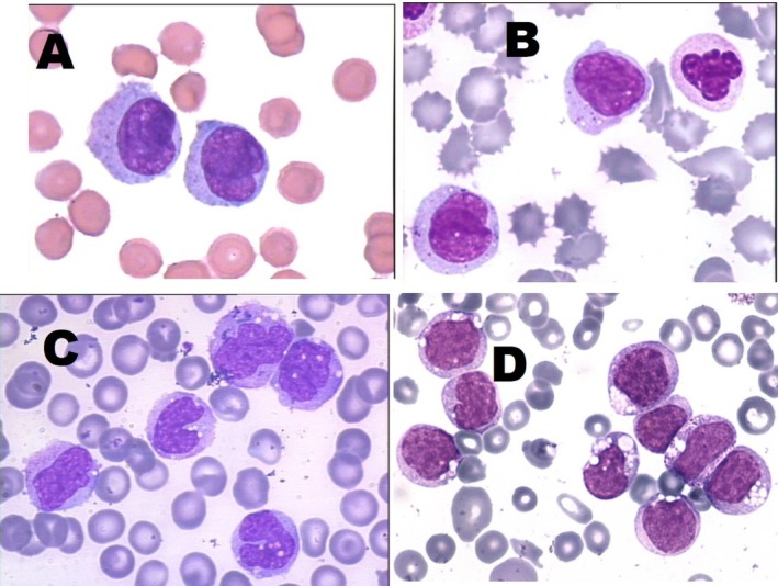 FIGURE 3
