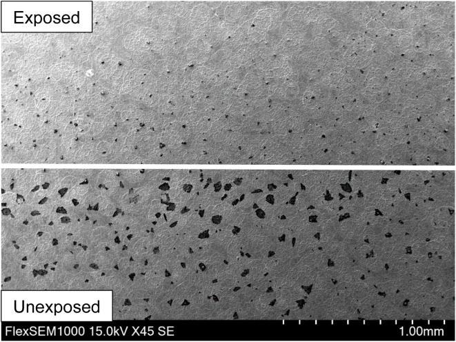 Fig. 8