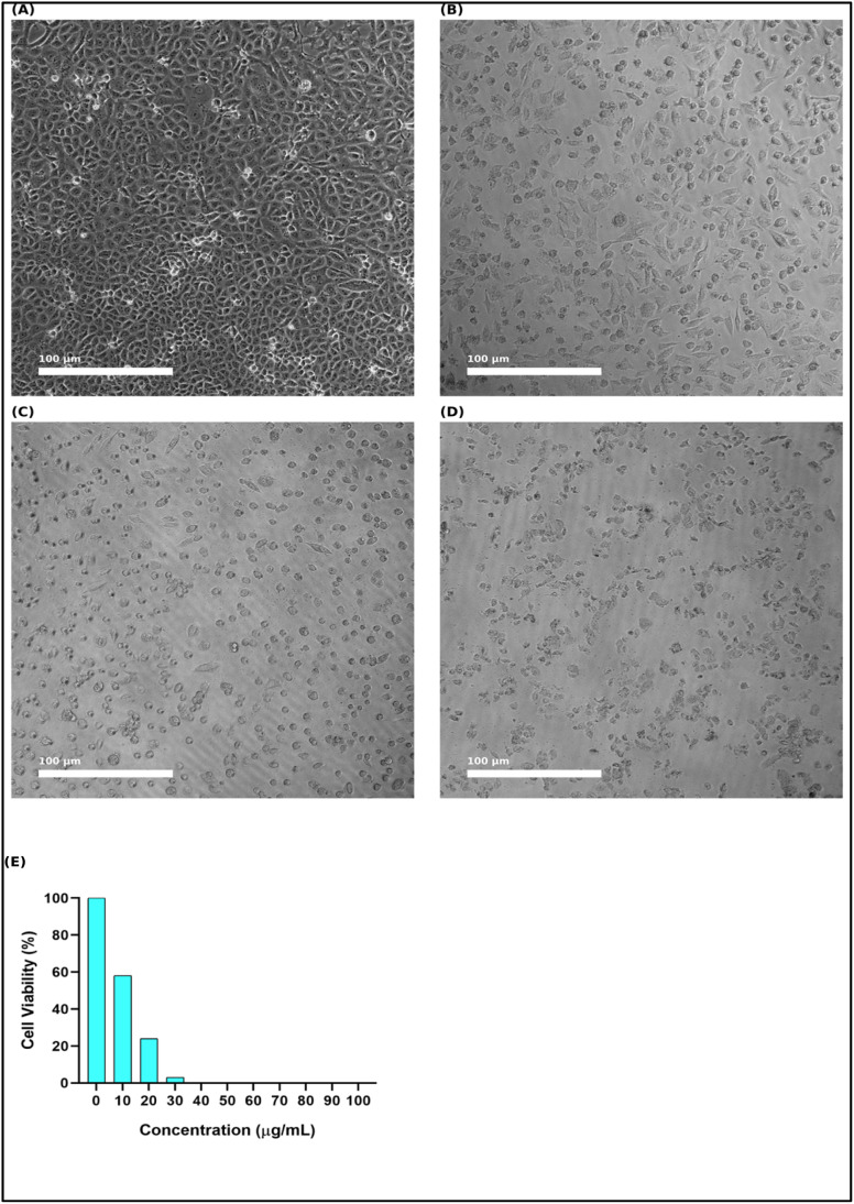 Fig. 11