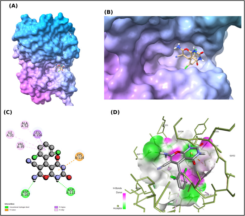 Fig. 7