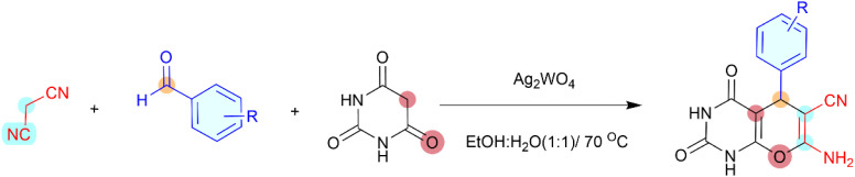 Scheme 1