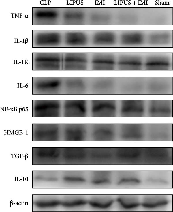 Figure 14
