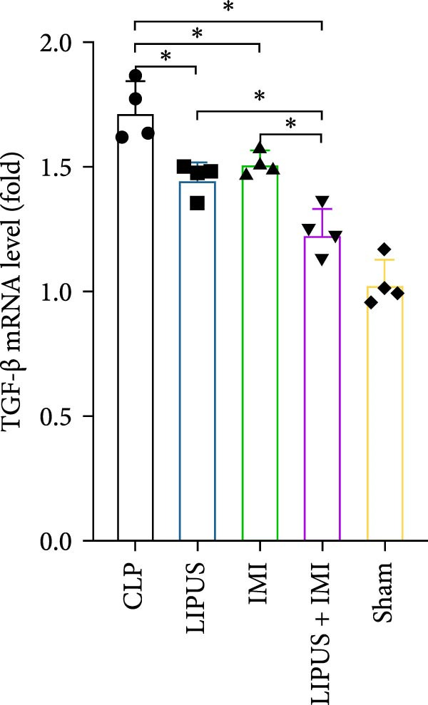 Figure 19