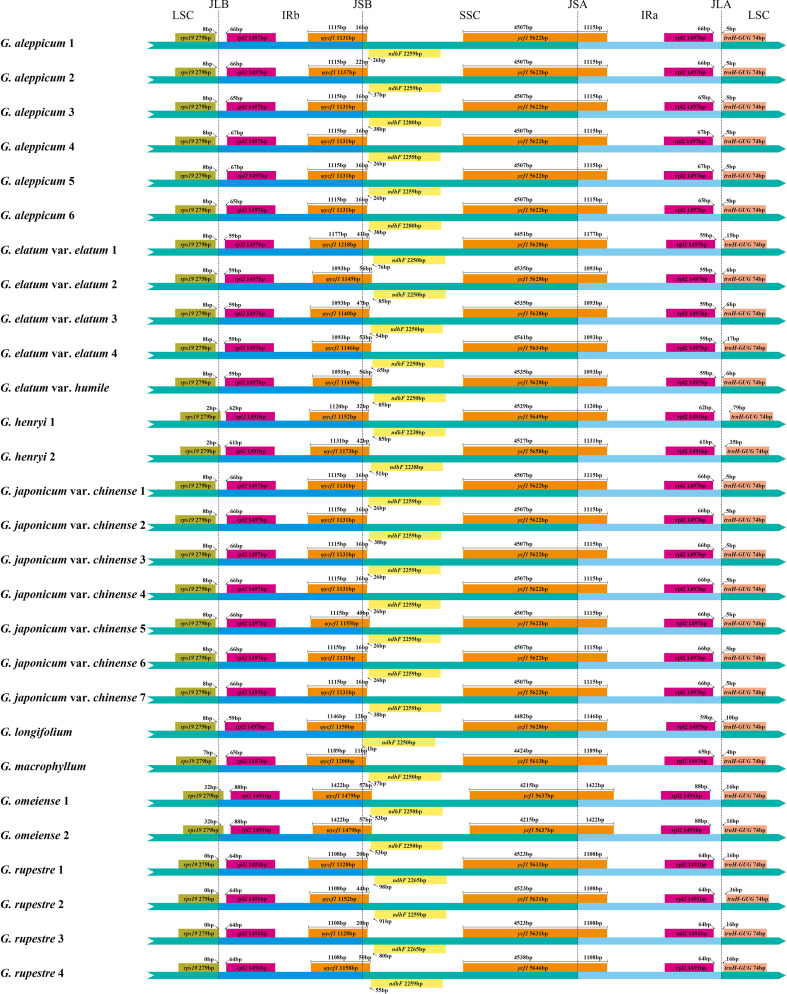Figure 2