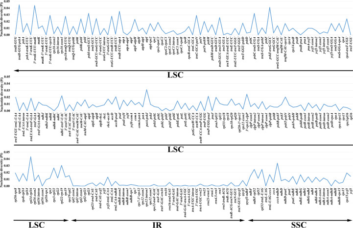 Figure 3