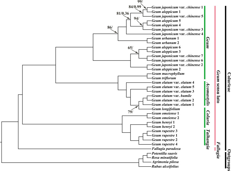 Figure 4