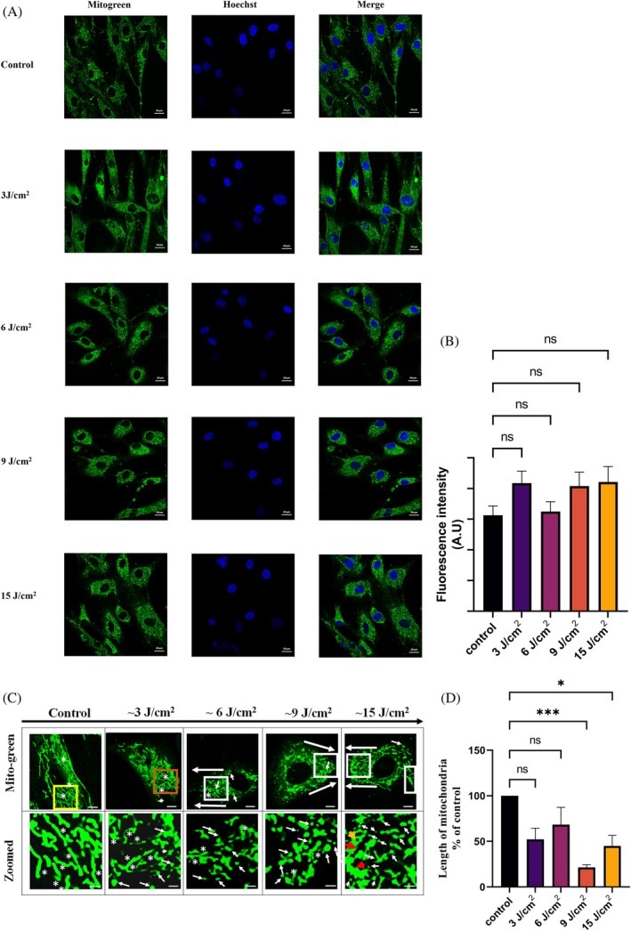 FIGURE 4