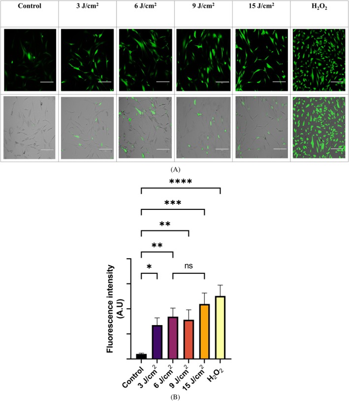 FIGURE 2
