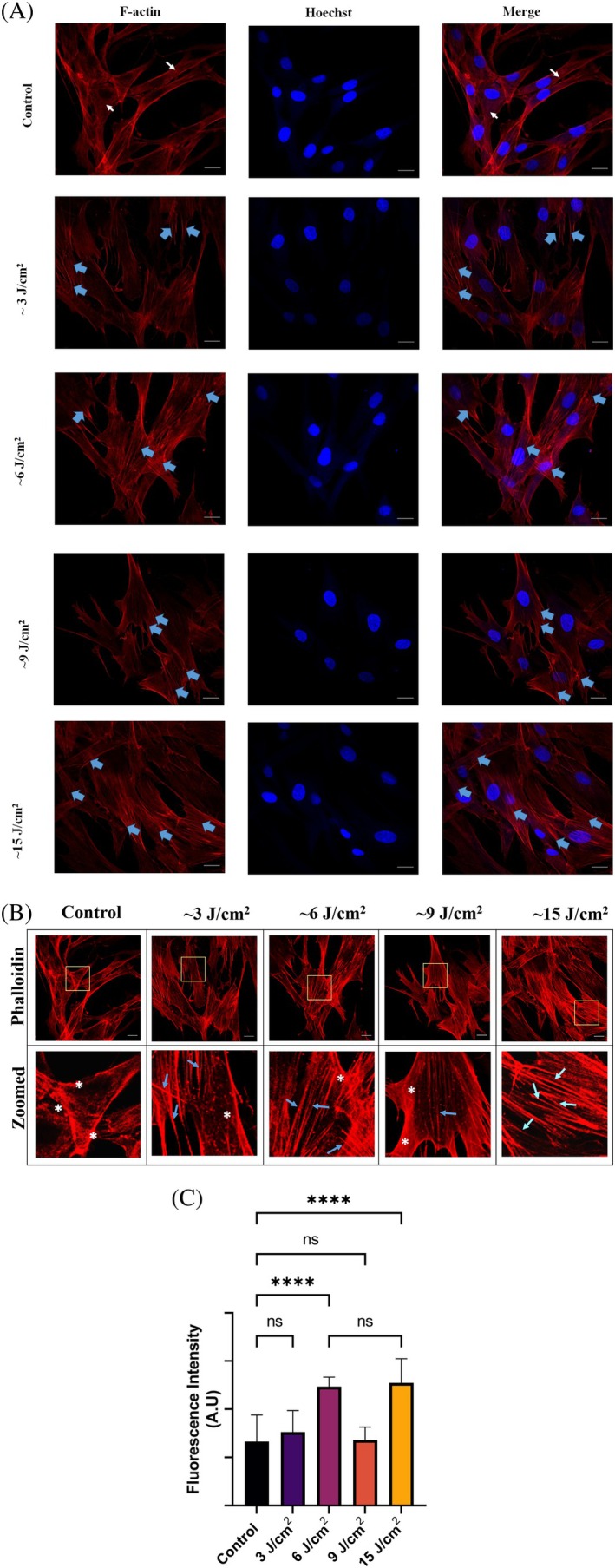 FIGURE 3