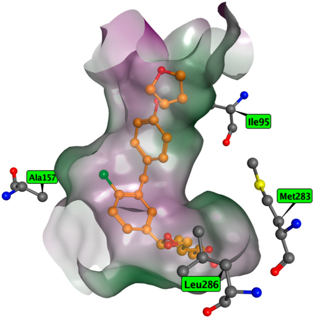 Figure 6