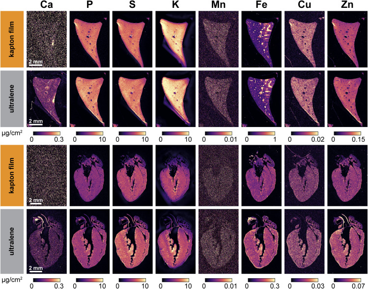 Fig. 3