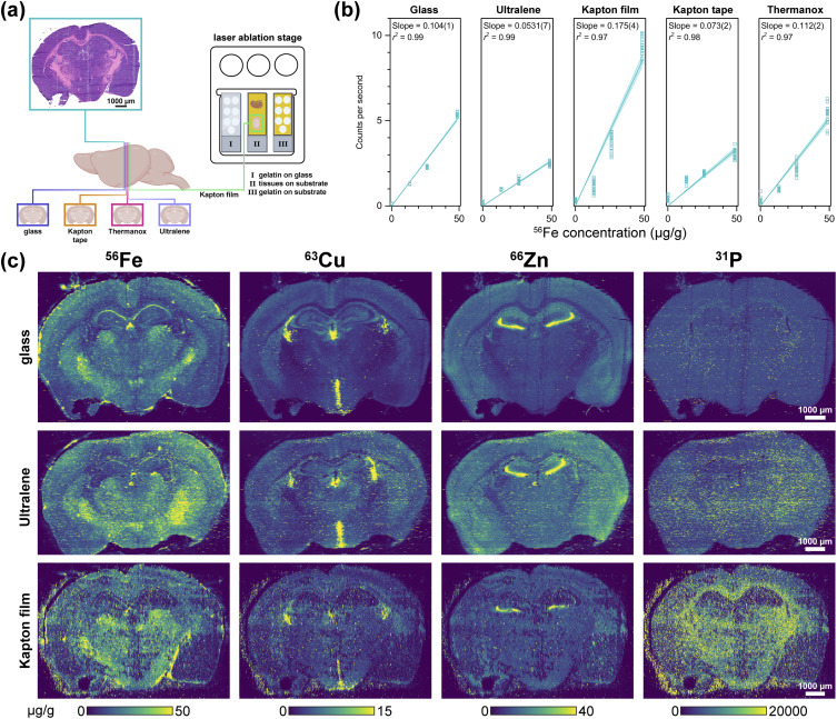Fig. 6