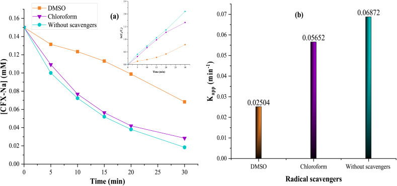 Fig. 13