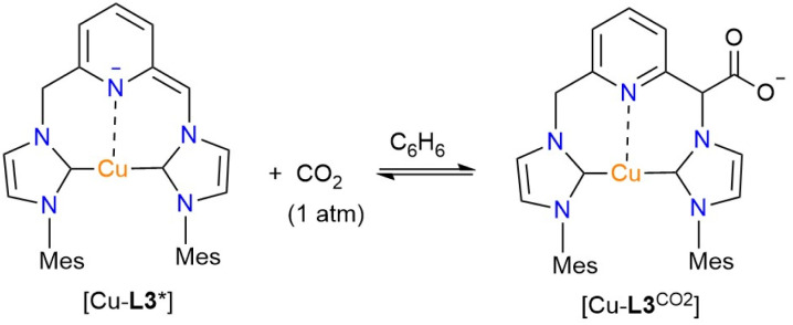 Fig. 12