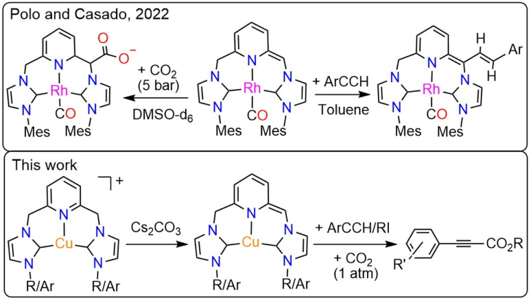 Scheme 2