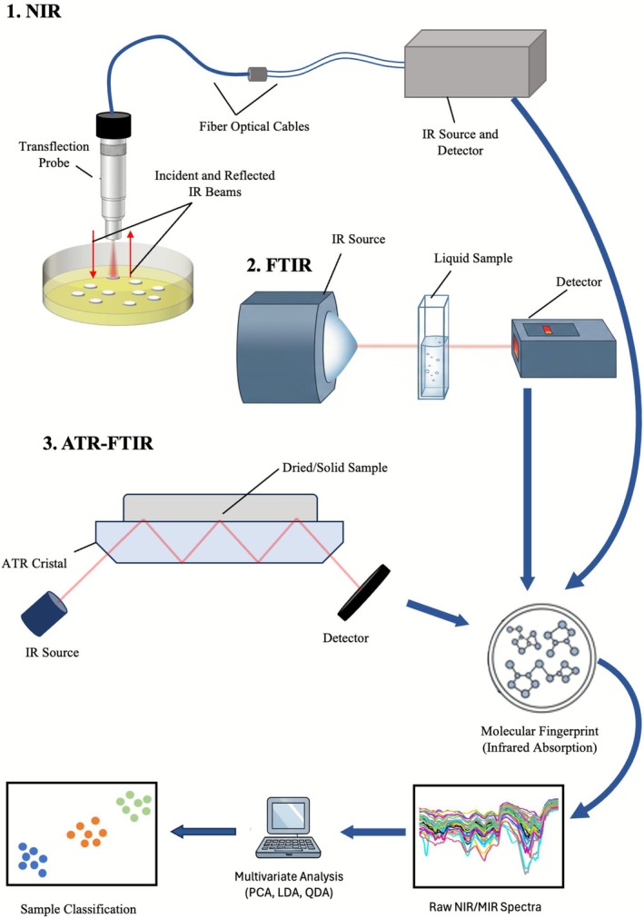 FIGURE 4