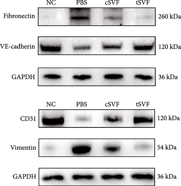 Figure 21