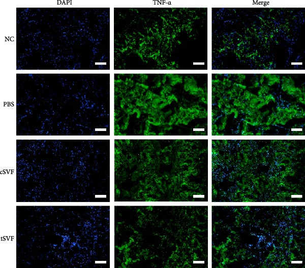 Figure 23