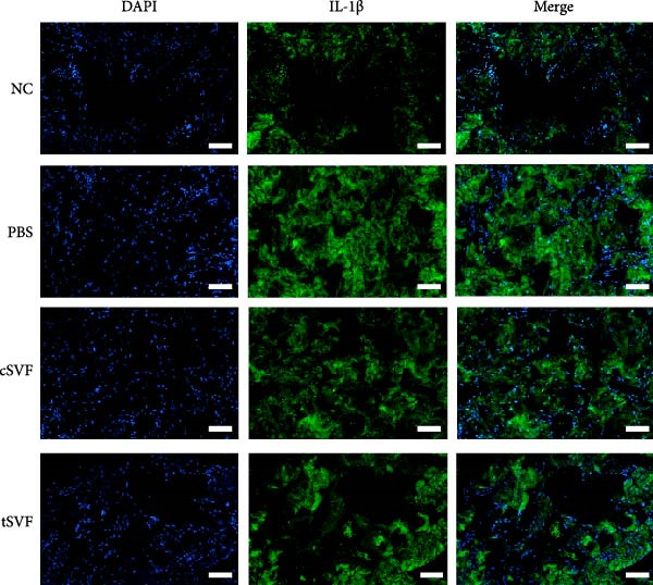 Figure 25
