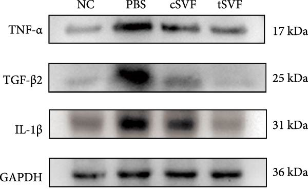 Figure 27