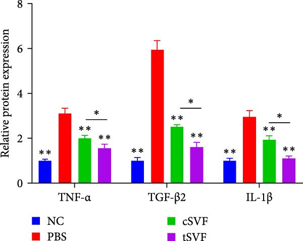 Figure 28