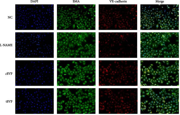 Figure 29