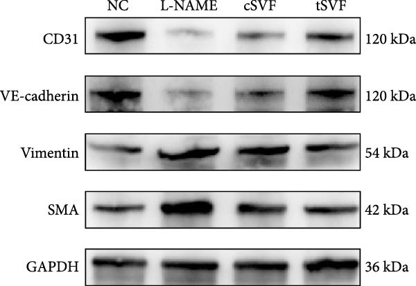 Figure 31