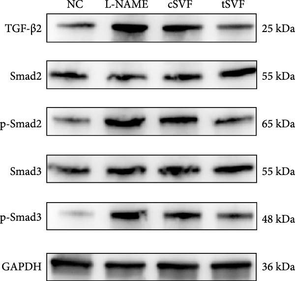 Figure 32
