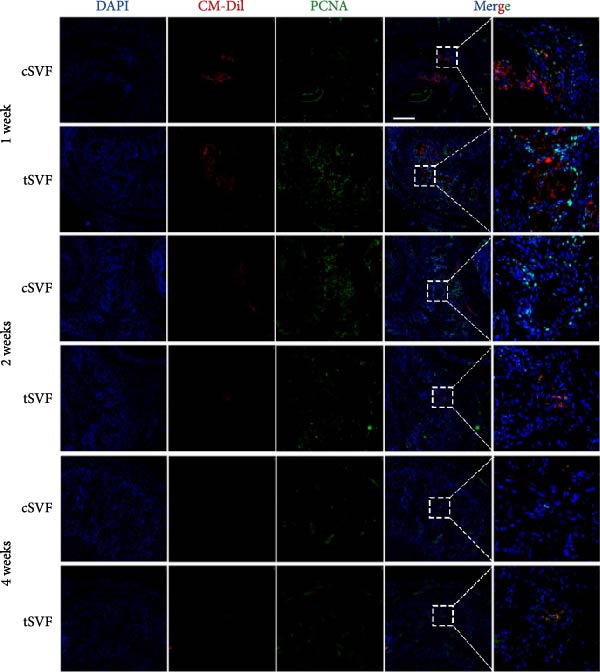 Figure 34