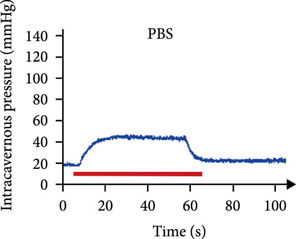 Figure 37